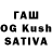 Галлюциногенные грибы GOLDEN TEACHER HanteP