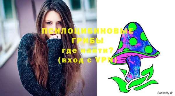 МДПВ Абинск