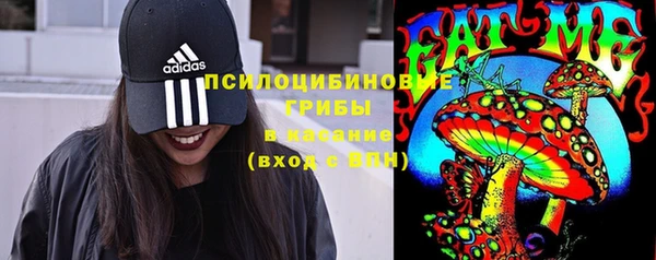 МДПВ Абинск