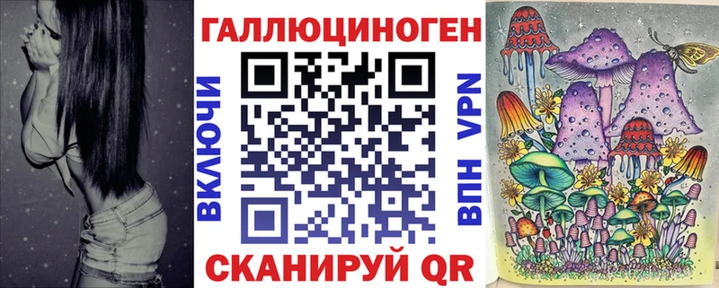 Псилоцибиновые грибы Psilocybe  Сусуман 